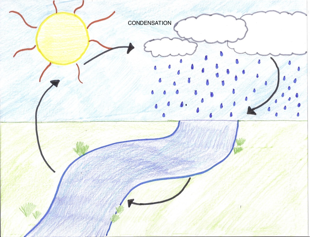 Condensation Water Cycle